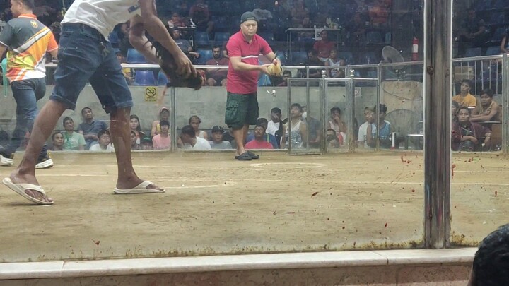 2HITS ULUTAN SA KAYBIGA NCCA CALOOCAN 2nd Fight My Grey x Blues pa  Champion 🏆🏆🐓🐓