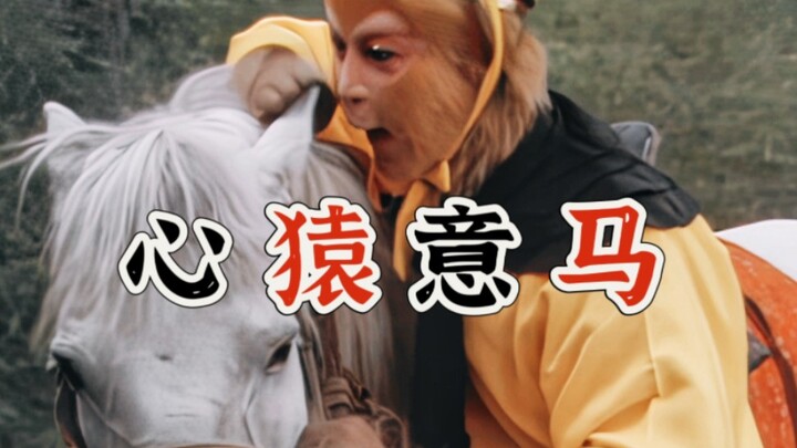 猴哥迷弟小白龙：最懂我还得是大师兄！