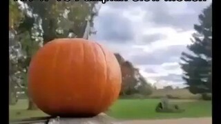 AK-47 vs Pumpkin Slow mo