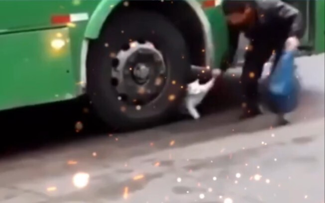 It’s not right for a kitten to fake an accident, so please just live your life.
