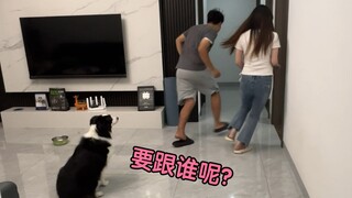 เจ้าของตัวผู้และตัวเมียวิ่งแยกกันดูว่าหมาตัวไหนจะตามมา?