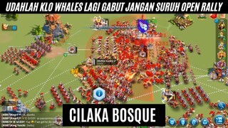 new meta rally leader whales 600jt emng ada ada aja di luar nurul