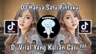 DJ HANYA SATU PINTAKU UNTUKMU DAN HIDUPMU | BAIK BAIK SAYANG SEPTI BLOODS VIRAL TIK TOK TERBARU 2023