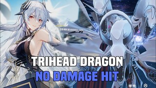 【AETHER GAZER】HADES VS TRIDRAGON NO DAMAGE HIT