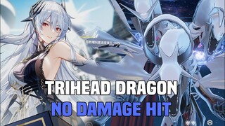 【AETHER GAZER】HADES VS TRIDRAGON NO DAMAGE HIT