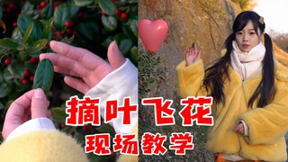 摘叶飞花教程！