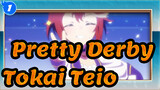 [Pretty Derby/MAD A Miracle Named Tokai Teio_1