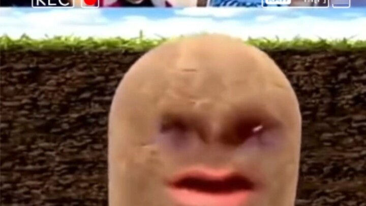 لا يمكن تجاوز الكلاسيكيات