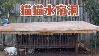 بناء كهف مائي للقطط