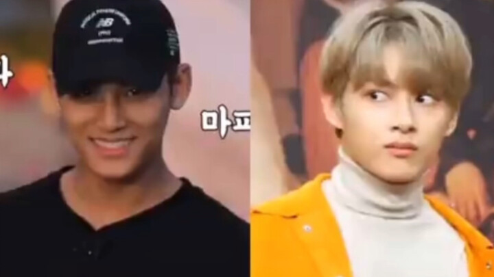【SEVENTEEN】ทุกครั้งที่น้องหมาขี้เล่นจาม ก็จะมีน้องแมวตัวหนึ่งได้รับบาดเจ็บเสมอ