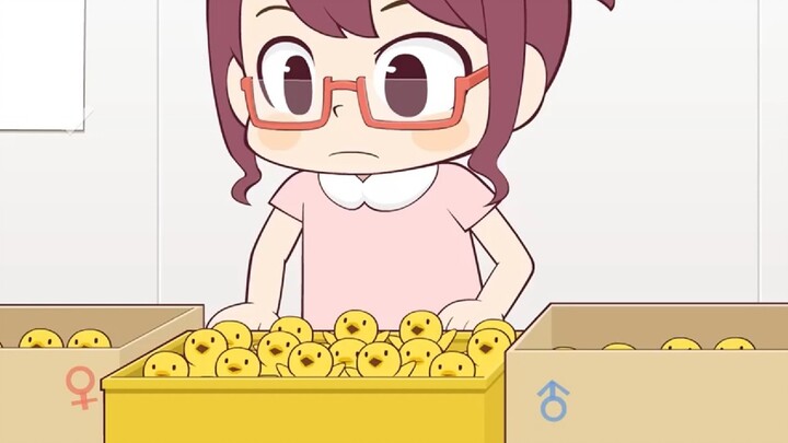 Pengidentifikasi Ayam