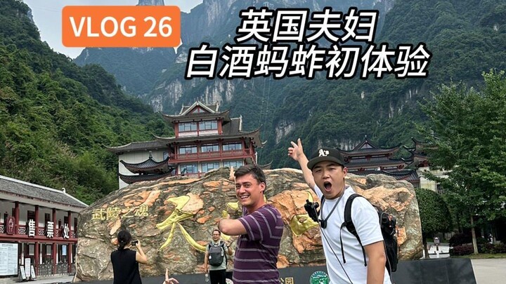Warning: Foreigners’ first taste of Xiangxi fried insects with baijiu — both their expressions are c