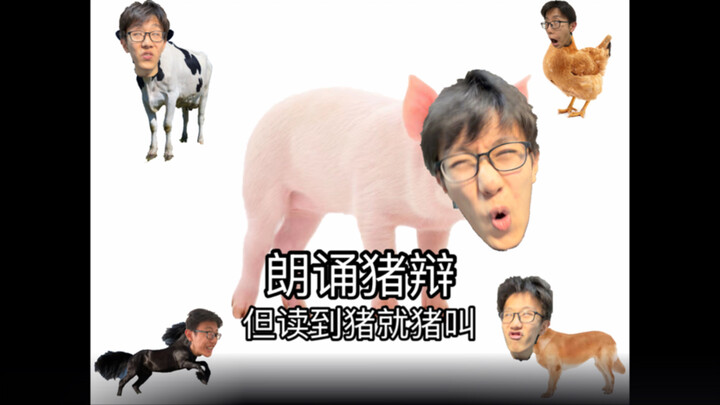 Reciting "The Pig's Defense," but whenever I get to "pig," I oink!