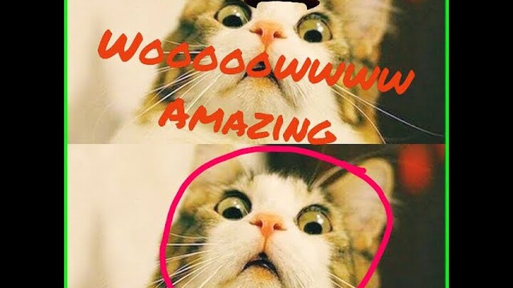 Extreme Rides | wahana ekstrem | yang engga kuat jangan nonton 😵