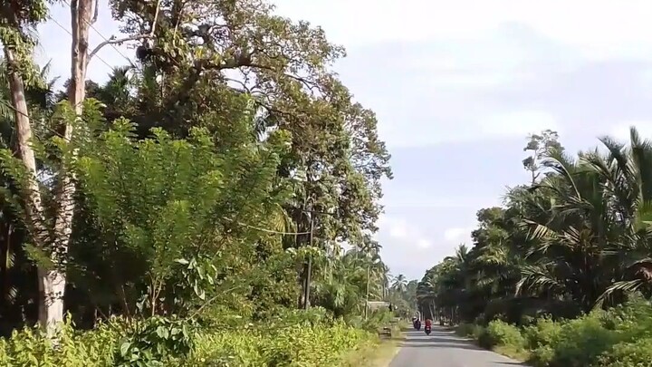 pergi ke Sarah raya geys