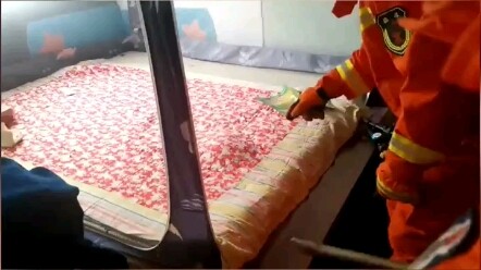 Một “Hoàng Đại Tiên” chui vào chăn, xem lính cứu hỏa “mời” nó ra sao #NgườiBạnXanh