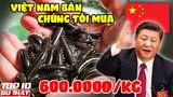 Top 5 Thứ "Phế Thải" Của Việt Nam Được Trung Quốc Tranh Nhau Mua | Top 10 Thú Vị