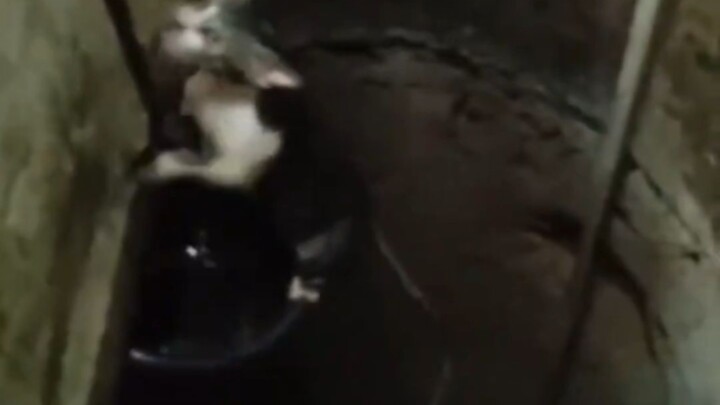 Kimi falls into the water, wants to get out → sees someone and gets startled → wants to get out agai