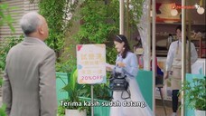 The Way You Shine Episode 5 Subtitle Indonesia