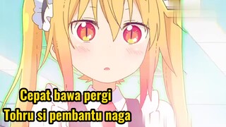 Cepat bawa pergi Tohru si pembantu naga