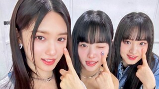 【ترجمة صينية】تعاون مذهل بين الأخت فو تشي والأخت باو! يوميات هونغ أون تساي في البرنامج التلفزيوني مع 