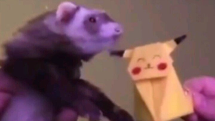 Doinb