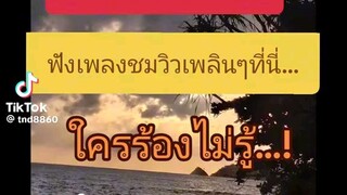 เพลง