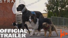 Strays | Trailer 2 | 2023