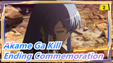 Akame Ga Kill | Mashup~Ending Commemoration_2