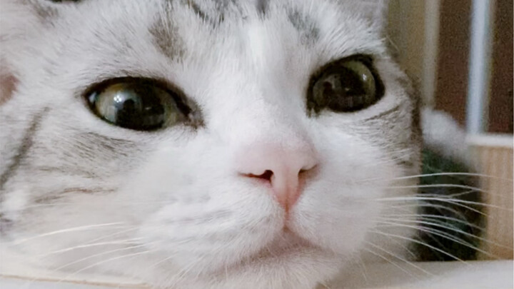 Makin mirip suami-istri aja, muka cemberut yang sama…