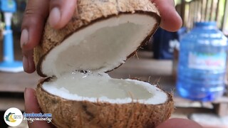 Lần Đầu Gia Đình Chị Kim Thưởng Thức DỪA SÁP Bến Tre | Hội Ngộ Miền Tây - Tập 276