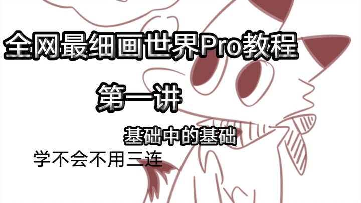 The Most Detailed World Pro Tutorial on the Entire Internet