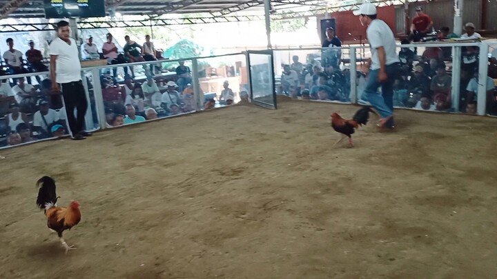 March 24 2024 fastest kill