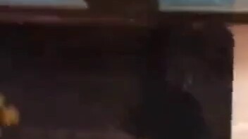 Dog: Holy shit! Let me explain…