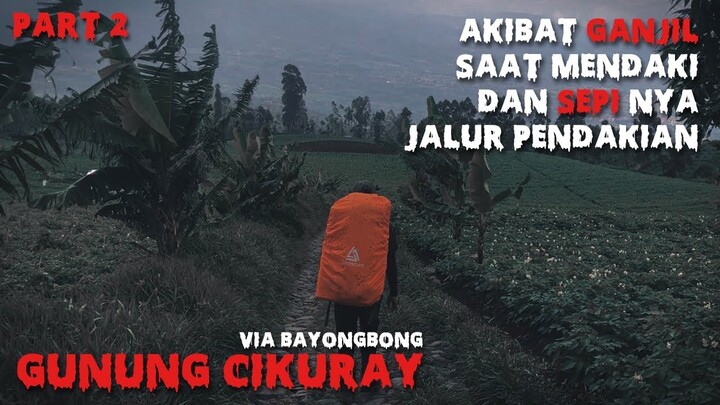 Kisah Mistis Pendakian Gunung Cikuray (JANGAN MENDAKI GANJIL) #PART2