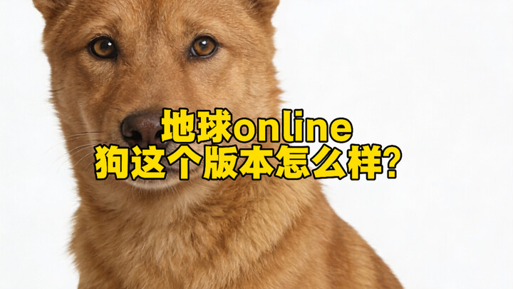 Earth Online chẳng lẽ chó không có mã nguồn cấp thấp sao?