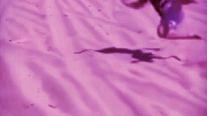 เราชอบเรื่องนี้มากกกกกกกกกกกกกกกก