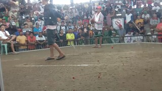 pa dalawang laban ni rambo