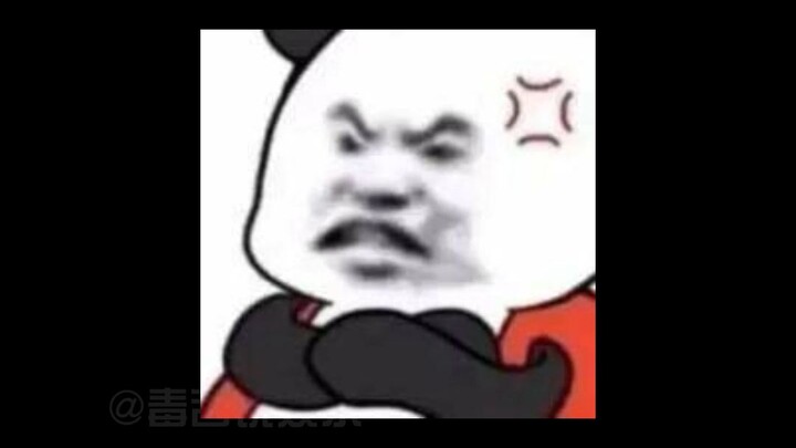 Dog Mom: You little brat, like I’m not even here?