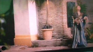 #mariaclaraatibarra