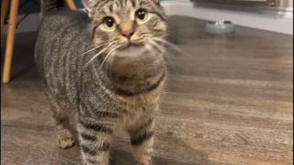 😹😹😹😹