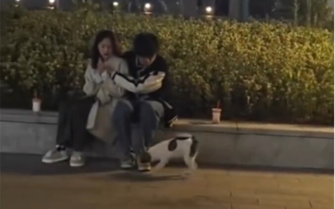 “Lúc cưới, con chó này ngồi bàn chính”