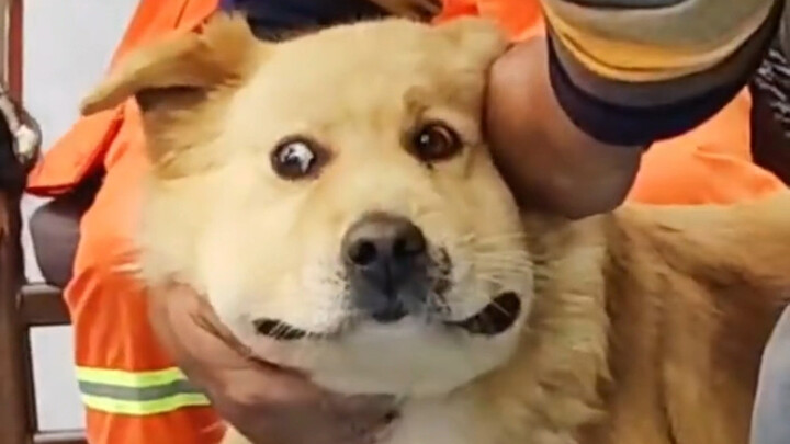 “Mirip nggak sama waktu kamu disuntik waktu kecil?”