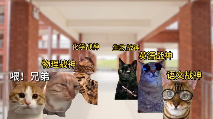当偏科战神在高考前把力量给你