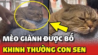 Chiếc mèo KHINH THƯỜNG Sen ra mặt vì KHÔNG GIÀNH LẠI bố với mình 😂 | Yêu Lu