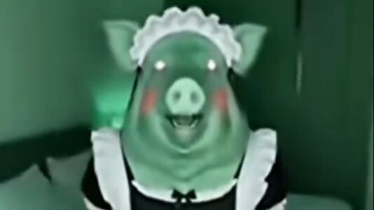 Chinese dark meme