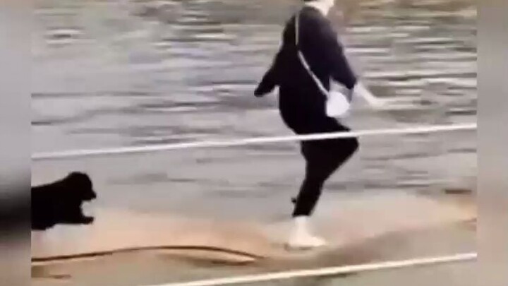 举止相当优雅啊，别误会，我说的是狗子！