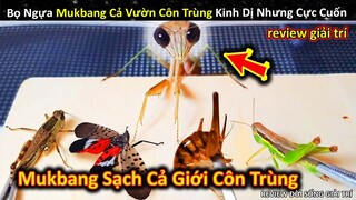 Bọ Ngựa Mukbang Cả Vườn Côn Trùng Kinh Dị Nhưng Siêu Cuốn || Review Giải Trí Đời Sống