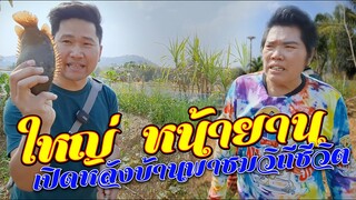 ตลกใหญ่ หน้ายาน เปิดหลังบ้านพาชม วิถีชีวิต