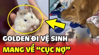 Thanh niên GÂU ĐẦN đi vệ sinh tranh thủ LƯỢM CỤC NỢ về tặng mẹ 😂 | Yêu Lu